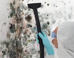 Best Industrial Mold Remediation  in Frazier Park, CA